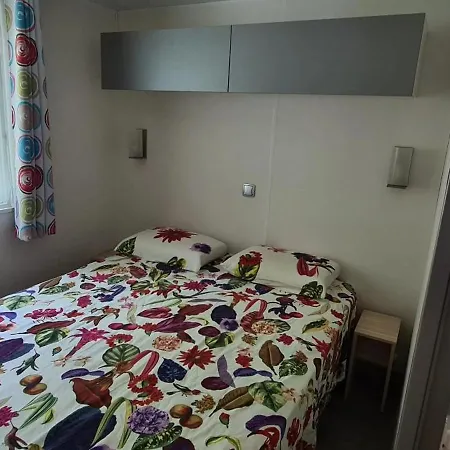 Confortable A Avec Piscine Partagee Tatil Evi Aureilhan (Landes)